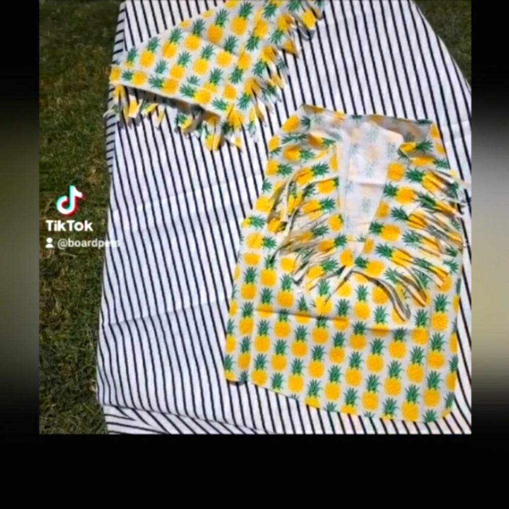 Summery Pineapple Set For your Pet.